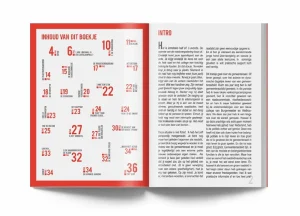 The-Local-Finance-Consultant-Boek-ontwerp-door-Bitterblond